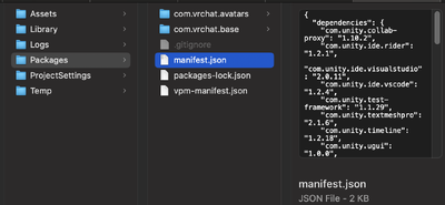 manifest.json within the project's directory