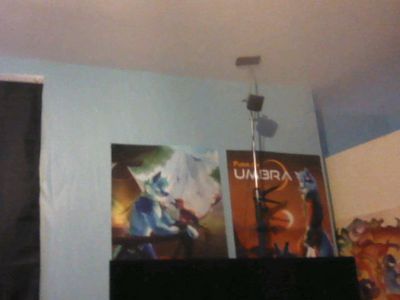 Furality posters, taken from a Nintendo 3DS. The image is low res and grainy.