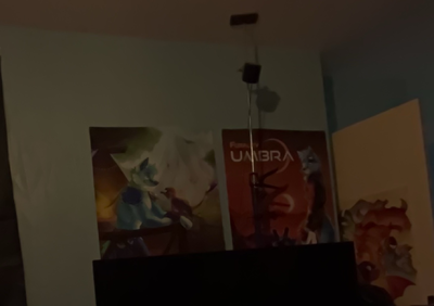 Furality posters, taken from a Vision Pro. The image is dark and blurry.