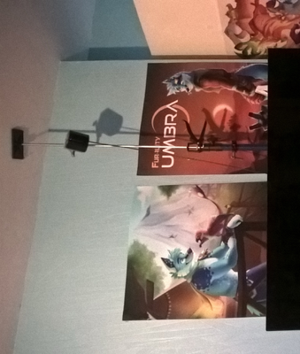 Furality posters, taken from a Windows Phone. The image is washed out and grainy.