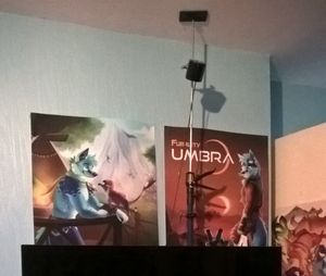 Furality posters, taken from a Windows Phone. The image is washed out and grainy.