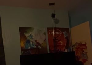 Furality posters, taken from a Vision Pro. The image is dark and blurry.